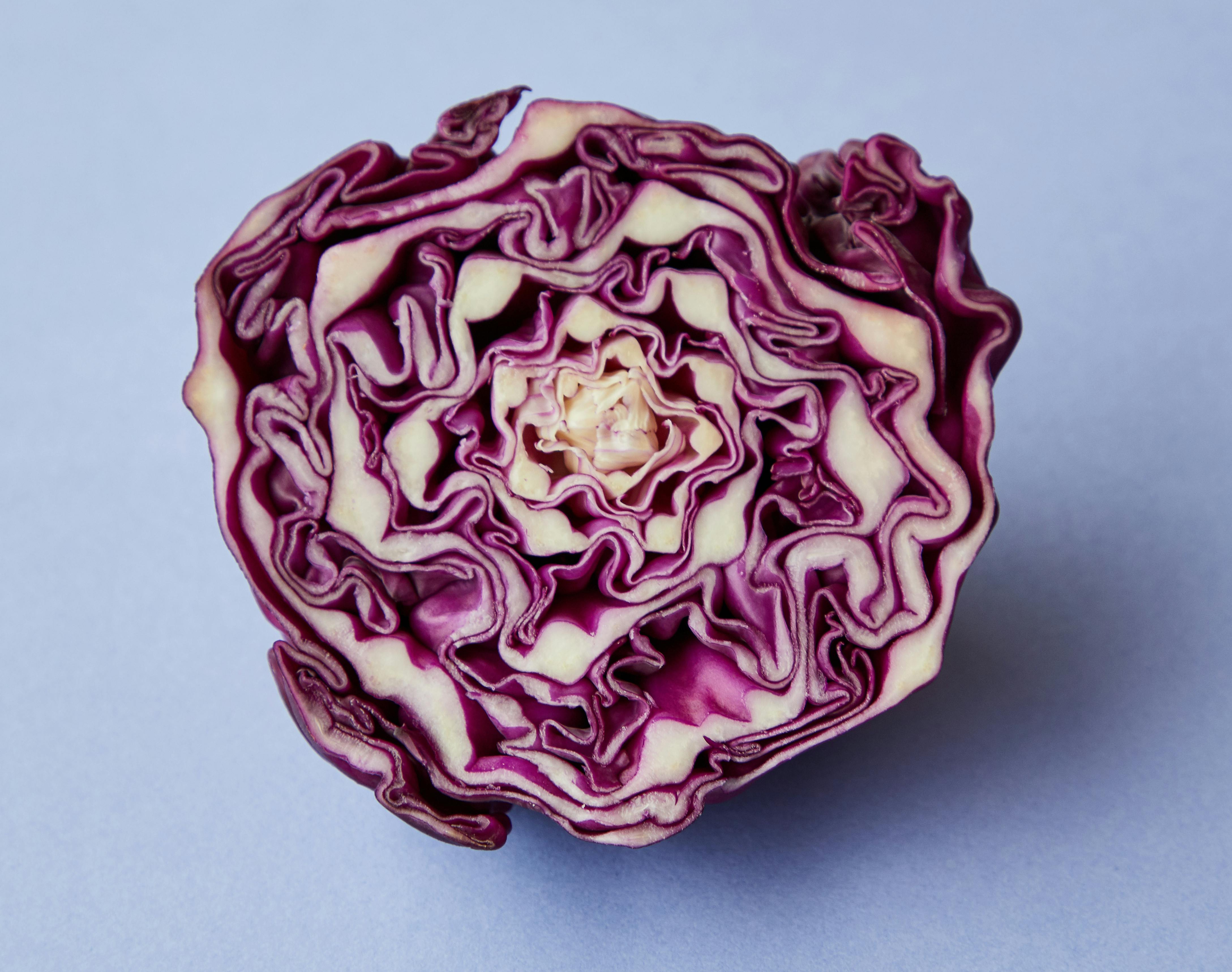 Red cabbage